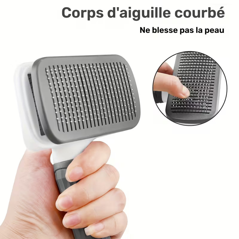 Brosse autonettoyante