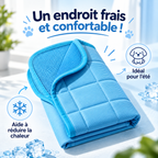 Tapis rafraîchissant