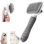 Brosse autonettoyante