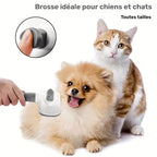 Brosse autonettoyante