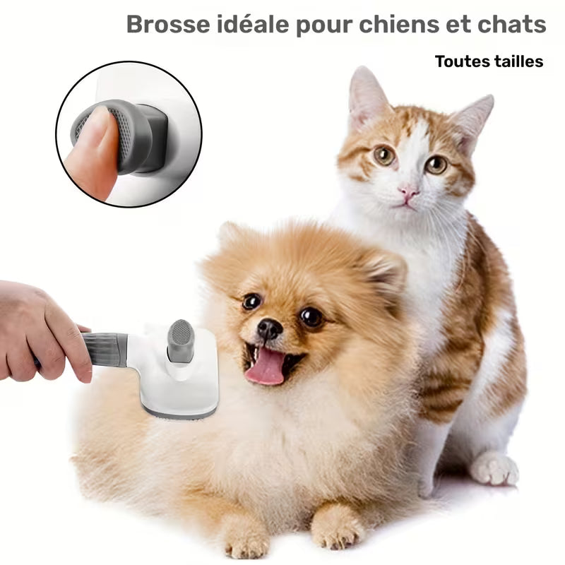 Brosse autonettoyante