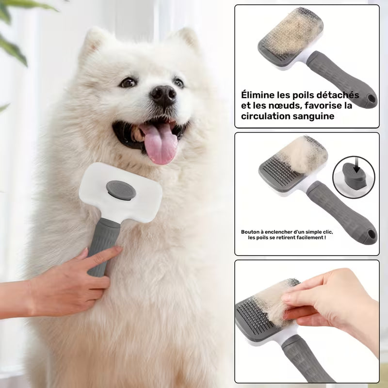 Brosse autonettoyante