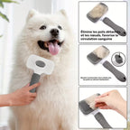 Brosse autonettoyante