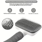 Brosse autonettoyante