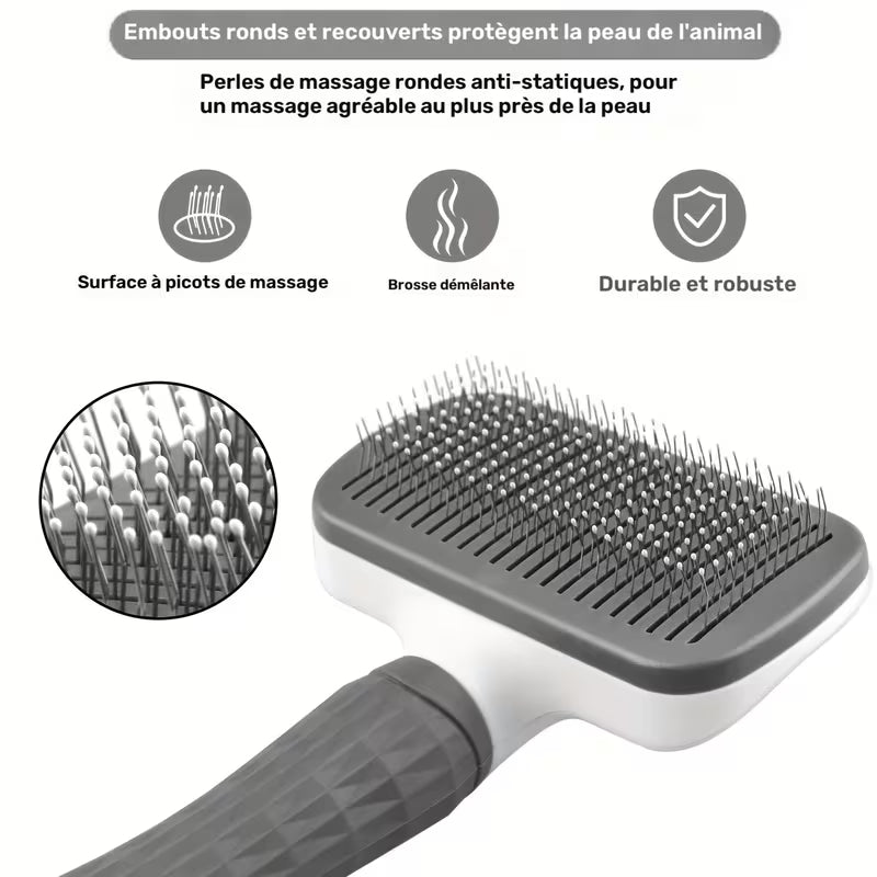 Brosse autonettoyante