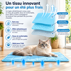 Tapis rafraîchissant