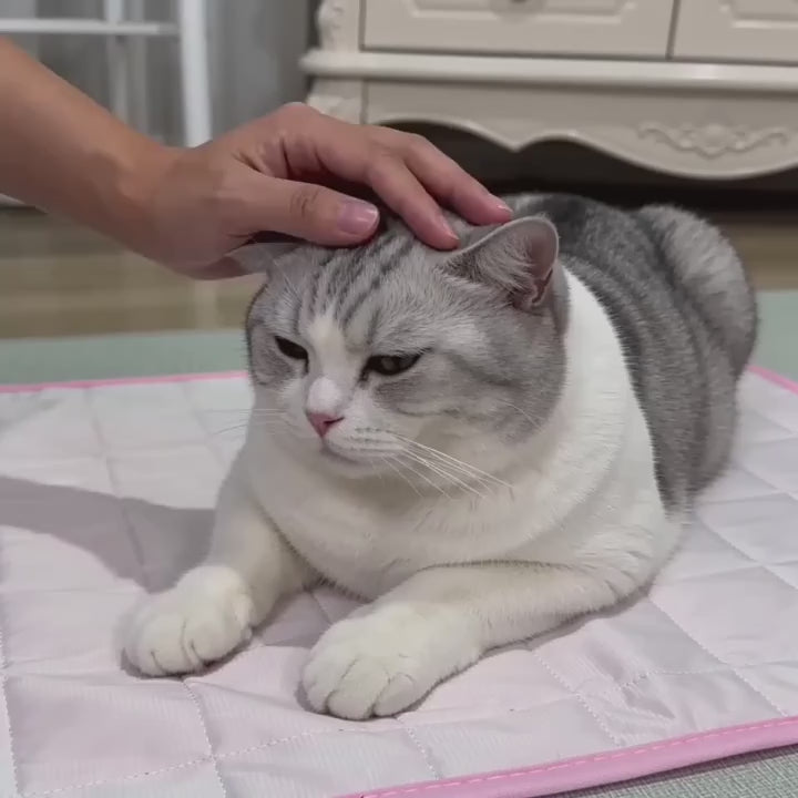 Tapis rafraîchissant